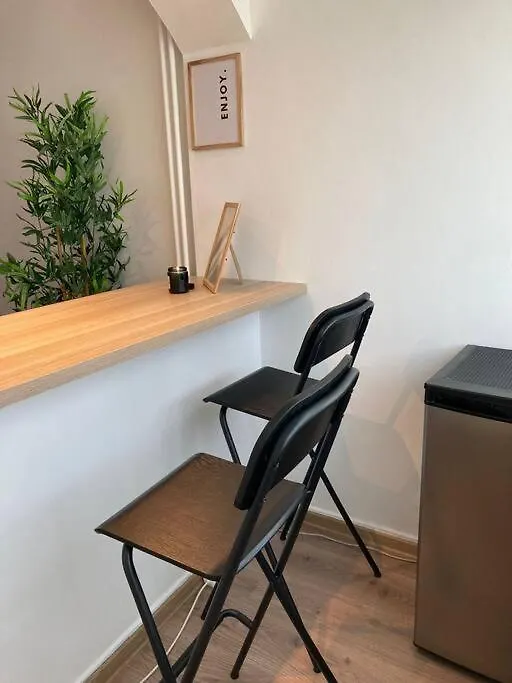 Apartment Zen Studio In The Heart Of Bucharest