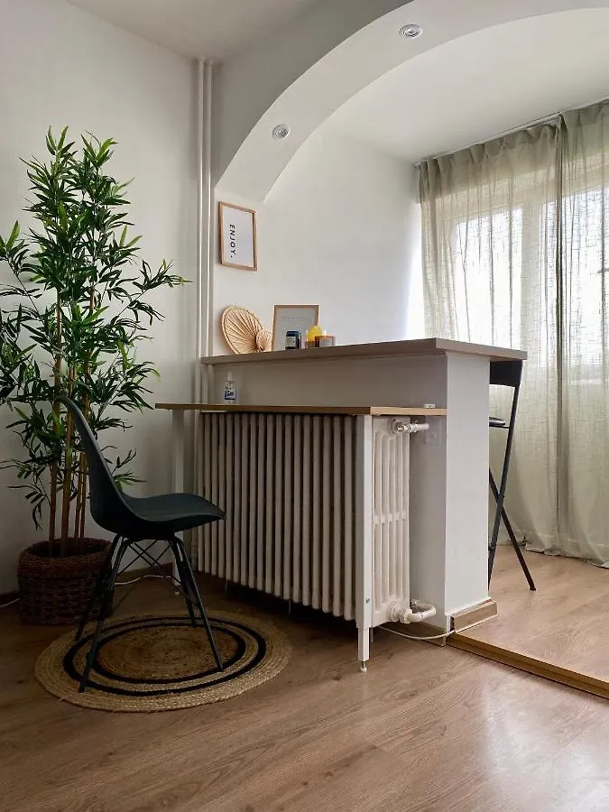 Zen Studio In The Heart Of Bucharest